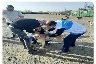 هشدار اداره کل دامپزشکی استان اردبیل در خصوص خطر شیوع بیماری تب برفکی به دامداران