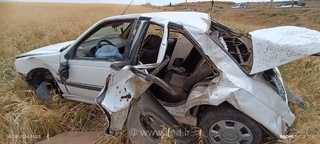 تصادف پژو با گله گوسفندان در اصفهان؛ ۸ دام تلف شدند