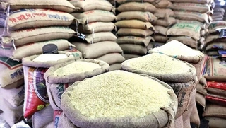 ورود ۷۰۰ تن برنج با عنوان آمریکایی از مرز عراق؛ انتقاد انجمن واردکنندگان از نبود نظارت‌های دقیق