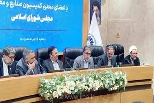 حذف ارز ترجیحی: اقدام شجاعانه دولت و عدم کمبود کالا