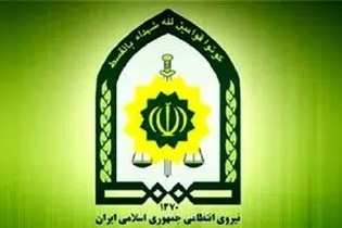 کشف محموله قاچاق غذای حیوانات خانگی در تاکستان؛ پلیس آگاهی ۳۹ کیسه کالای غیرمجاز را توقیف کرد