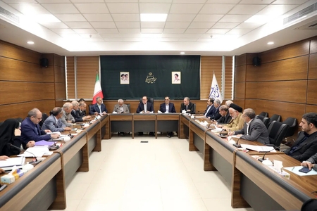 پیگیری حل مشکل خودروی جانبازان با دستور نایب رئیس مجلس