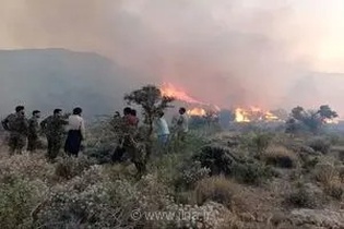 دستگیری عامل آتش‌سوزی عمدی جنگل‌های کمربندی ایلام