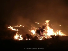 آتش‌سوزی گسترده در کوه‌های بلوار رسول اعظم(ص) شیراز