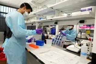 ثبت 18 هزار و 71 مورد آزمایش تشخیصی در دامپزشکی استان مرکزی