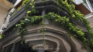 معماری الهام‌گرفته از طبیعت: پروژه لیم اسپیس در هانوی ویتنام