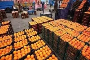 اخطار به واحدهای سورتینگ رنگ‌آوری مرکبات در قائم‌شهر