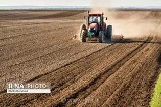 بازگشت ۸۰۰ هکتار زمین زراعی به چرخه تولید در فارس