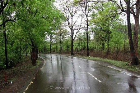 هشدار سازمان هواشناسی: رگبار باران، رعدوبرق و وزش باد شدید در ۱۰ استان کشور طی ۴۸ ساعت آینده
