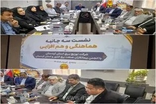 نگرانی بابت کارگران صنعت برق/ بحران مالی در کمین پیمانکاران است