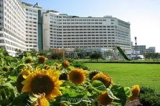برنامه‌ریزی برای تسهیل بهره‌مندی بازنشستگان صنعت نفت و خانواده‌های آنان از مجتمع اقامتی محمودآباد