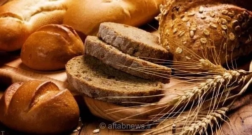 سلامت سالمندان با انتخاب نان مناسب؛ توصیه‌های رئیس اداره غذاهای ویژه