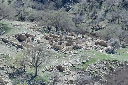 شناسایی روستای صفوی‌دورۀ متروک رویین در جنگل‌های فارس