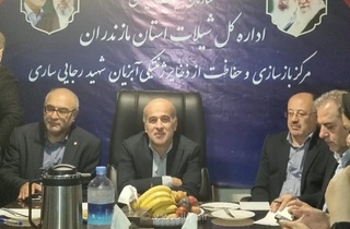 صید ۸۳ هزار تنی آبزیان در ۴ ماهه با وجود جنگ/ ممنوعیت صید ترال و فانوس‌ماهیان