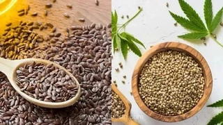 شاهدانه و کتان: کدام برای سلامتی بهتر است؟