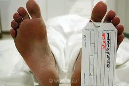 پروژه انتقال سالن تشریح با وجود تأمین اعتبار، معطل صدور مجوز است