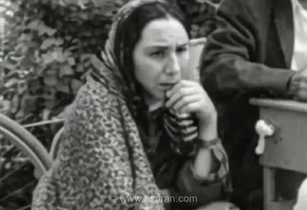سفر به شیراز سال ۱۳۴۸؛ تصویری نوستالژیک از بساط عریضه‌نویس‌ها در مقابل دادگستری