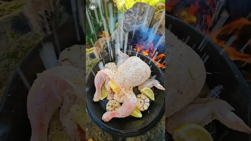 طرز تهیه مرغ کامل: یک غذای خوشمزه و با طعم ملایم