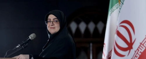 مهاجرانی: مصادره استعفای وزیر نفت، تلاشی برای پوشاندن ناکامی‌های ترامپ است