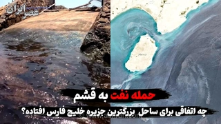 بحران آلودگی نفتی در سواحل قشم؛ تهدید جدی برای زیستگاه لاک‌پشت‌های پوزه‌عقابی و جنگل‌های حرا
