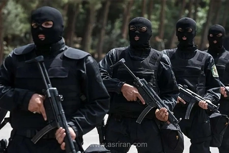 لحظه خلع سلاح گروگانیگر خیابان ولیعصر توسط پلیس نوپو