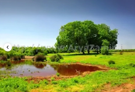 پیشرفت مشارکت صیادان در حفاظت از میانکاله