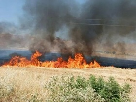 آتش‌سوزی در مرتع خوش ییلاق آزادشهر؛ تلاش برای مهار حریق