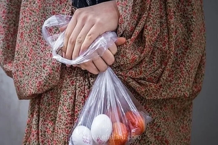 کاهش قدرت خرید خانوارها با افزایش قیمت کالاهای اساسی