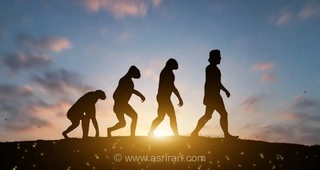 از ستون فقرات تا دندان عقل؛ چرا بدن انسان این‌همه نقص دارد؟