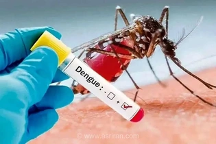 هشدار وزارت بهداشت درباره خطر گسترش تب دنگی/ جولان پشه «آئدس» در شمال و جنوب کشور