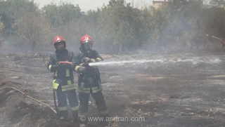 آتش‌سوزی گسترده در بلوار توس مشهد؛ ۱۰۰ درخت خاکستر شد