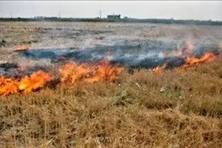 هشدار جدی پلیس راه مازندران؛ آتش زدن کاه و کلش در حاشیه جاده‌ها حادثه‌ساز شد و پیگرد قانونی دارد