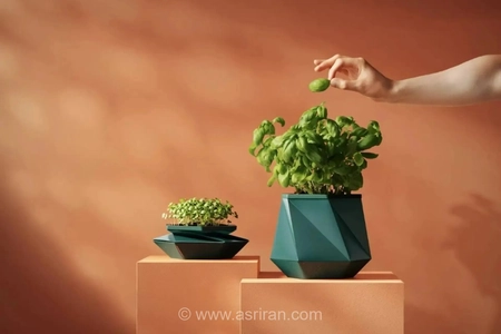 گلدانی که همراه گیاه بزرگ می‌شود؛ ایده‌ای نو برای خداحافظی با تعویض گلدان (+عکس)