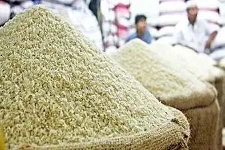 سقوط ۲۵ درصدی قیمت برنج ایرانی در بازار؛ پایان انحصار واردات و ثبات در قیمت کالاهای اساسی