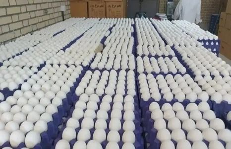 کشف ۳۷۸ تن تخم‌مرغ قاچاق در شوش