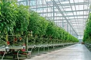 تغییر الگوی کشت قزوین با حمایت تسهیلاتی از توسعه گلخانه‌ها