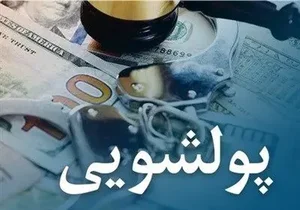 پرونده‌های کلان پولشویی با گردش مالی ۴۹ همت شناسایی شد
