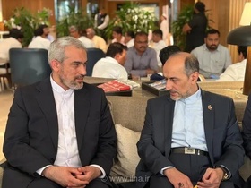 ورود وزیر اقتصاد ایران به بمبئی برای شرکت در اجلاس بریکس