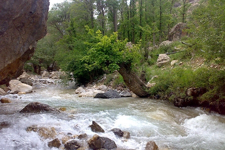 هشدار به گردشگران در البرز: از نزدیک شدن به رودخانه‌ها خودداری کنید