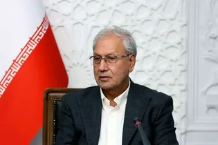 افزایش سرعت سالمندی در ایران؛ هشدار ربیعی