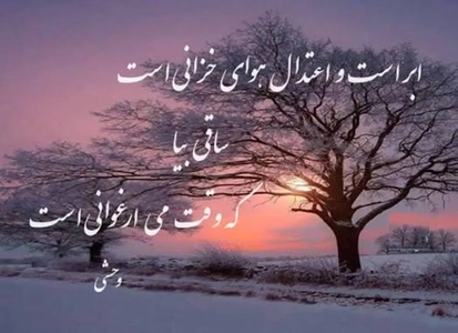 وحشی بافقی و غزلی در وصف می و رفاقت