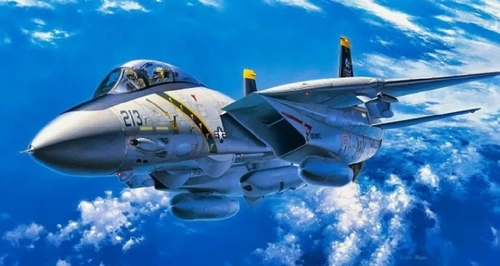ایران تنها کشور جهان با جنگنده‌های F-14 تامکت؛ داستان یک میراث نظامی