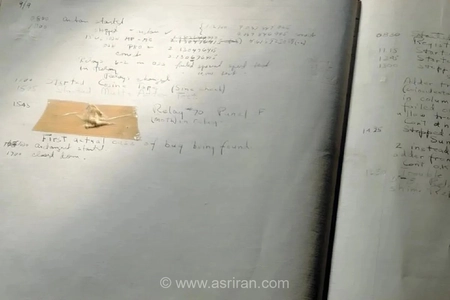 اولین «باگ» کامپیوتری یک شب‌پره بود/ داستانی از آغاز رفع اشکال
