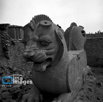 تصاویری از تخت جمشید در دهه 1340