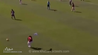 اتفاقی عجیب در زمین فوتبال؛ حمله غافلگیرکننده یک طوطی به بازیکن تیم فلامینگو بازی را به تعطیلی کشاند