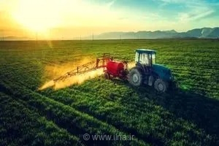 مسیر صادرات محصولات کشاورزی گلستان به آسیای میانه باید هموارتر شود