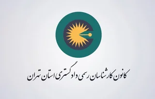 نگرانی از کاهش کیفیت نظرات کارشناسی