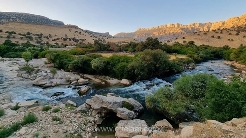 سوسن سرخاب، نگینی پنهان در قلب بختیاری خوزستان