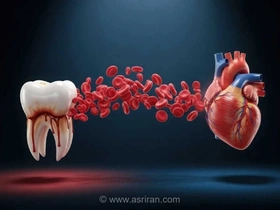 هشدار جدی پزشکان: آیا باکتری‌های عامل بیماری لثه می‌توانند سلامت دریچه قلب شما را به خطر بیندازند؟