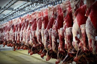 قیمت گوشت قرمز امروز شنبه ۲۱ شهریور ۱۴۰۵؛ ثبات قیمت‌ها